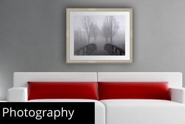 Photography Framed Print