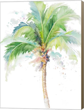 Framed Watercolor Coconut Palm Print