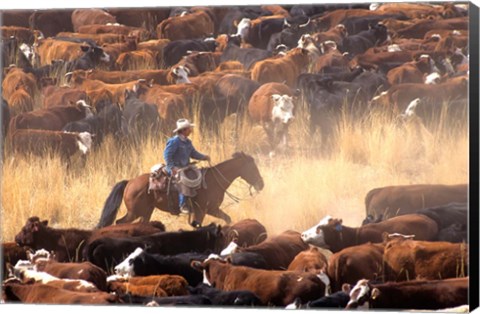 Framed Cowboy Cattle Drive Print