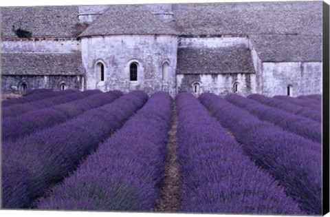 Framed Lavender Abbey Print