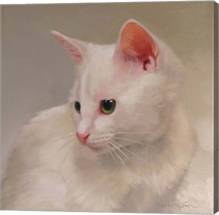 Framed White Kitten Print
