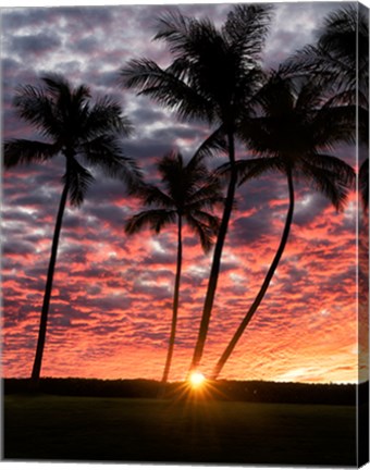 Framed Sunset Silhouette Print