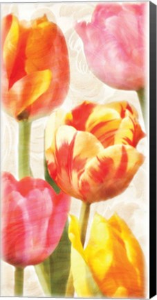 Framed Glowing Tulips II Print