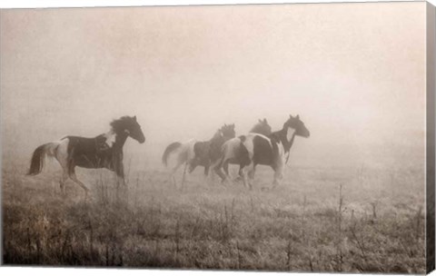 Framed Paint Horses on the Run Print