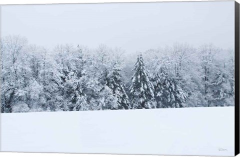 Framed Snowshoe Hill Print