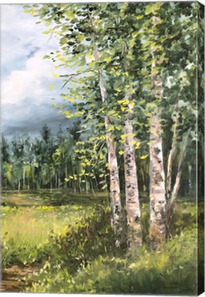 Framed Colorado Meadow panel II Print