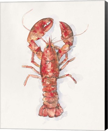 Framed Salty Lobster I Print