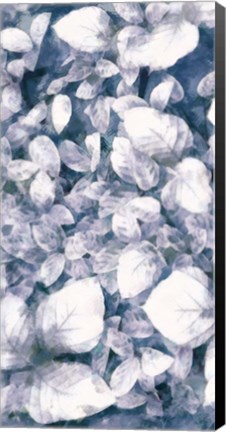 Framed Blue Shaded Leaves VI Print