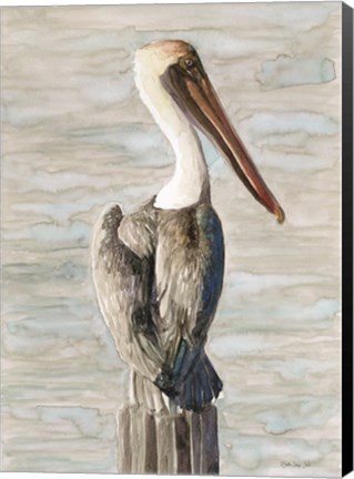 Framed Brown Pelican 1 Print