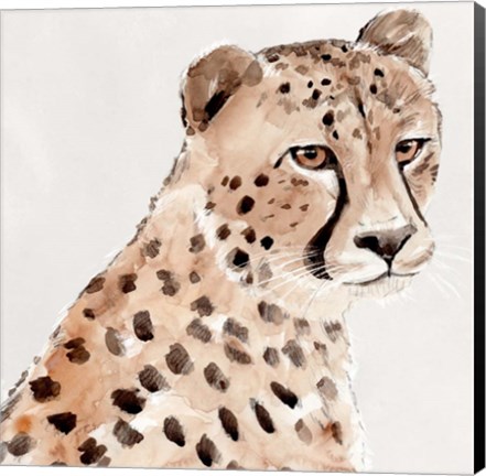 Framed Saharan Cheetah II Print