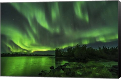 Framed Bright Sky-Filling Aurora at Tibbitt Lake East of Yellowknife Print