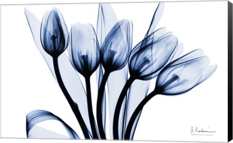 Framed Marvelous Indigo Tulips 2 Print