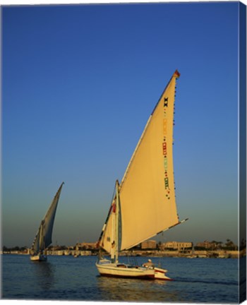 Framed Sailboats sailing in a river, Nile River, Luxor, Egypt Print