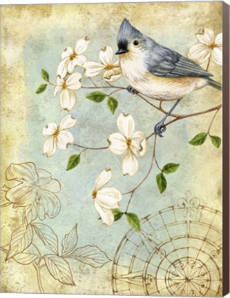 Framed Songbird Sketchbook IV Print