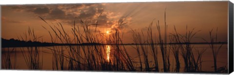 Framed Sunset over a lake, Lake Travis, Austin, Texas Print