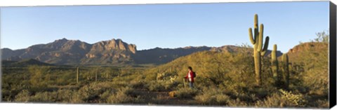 Framed Hiker standing on a hill, Phoenix, Arizona, USA Print