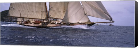 Framed Sailboat in the sea, Schooner, Antigua, Antigua and Barbuda Print