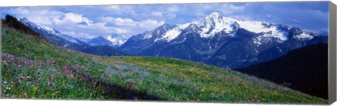 Framed Wildflowers Along Mountainside, Zillertaler, Austria Print