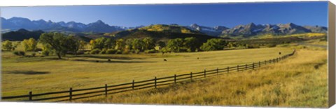Framed Trees in a field, Colorado, USA Print