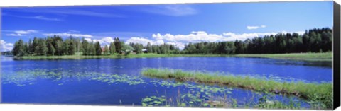 Framed Lakelands, Finland Print