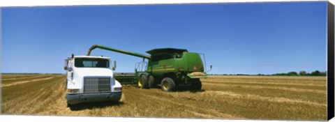 Framed Combine in a wheat field, Kearney County, Nebraska, USA Print