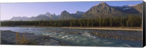 Framed Trees along a river with a mountain range in the background, Athabasca River, Jasper National Park, Alberta, Canada Print
