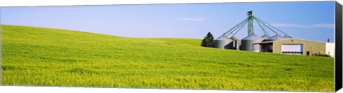 Framed Wheat field with silos in the background, Palouse County, Washington State Print