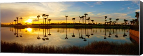 Framed Reflection of trees in water at sunset, Lake Worth, Palm Beach County, Florida, USA Print