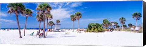 Framed Palm trees on the beach, Siesta Key, Gulf of Mexico, Florida, USA Print