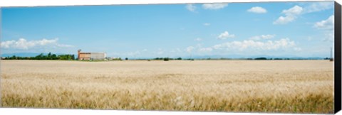 Framed Wheat field with grain elevator near D8, Plateau de Valensole, Alpes-de-Haute-Provence, Provence-Alpes-Cote d&#39;Azur, France Print
