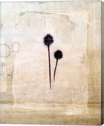 Framed Herbarium IV Print