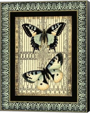 Framed Small Butterfly Fancy II Print