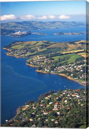 Framed Macandrew Bay, Otago Harbor, Dunedin, New Zealand Print