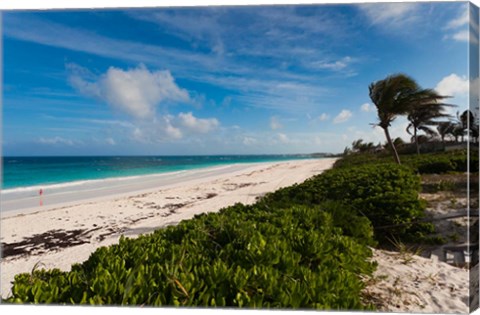 Framed Bahamas, Eleuthera, Harbor Island, Pink Sand Beach Print