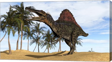 Framed Spinosaurus Hunting Print