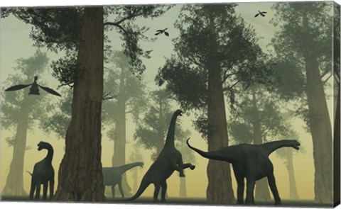 Framed Camarasaurus Dinosaurs Print