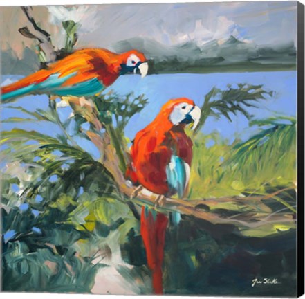 Framed Parrots at Bay II Print
