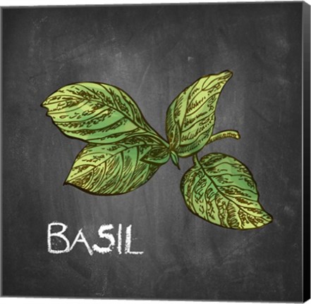 Framed Basil on Chalkboard Print