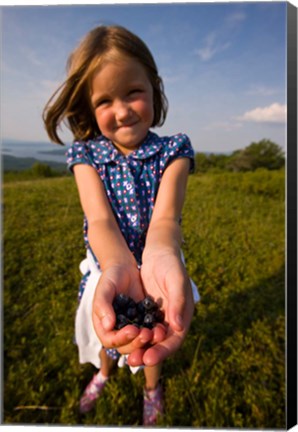 Framed Child, blueberries, Alton, New Hampshire Print