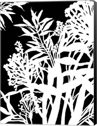 Framed Monochrome Foliage IV Print