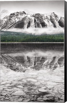 Framed Waterfowl Lake Panel II BW with Color Print