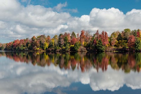 Framed Autumn Lake Reflection Of Ricketts Glen State Park, Pennsylvania Print