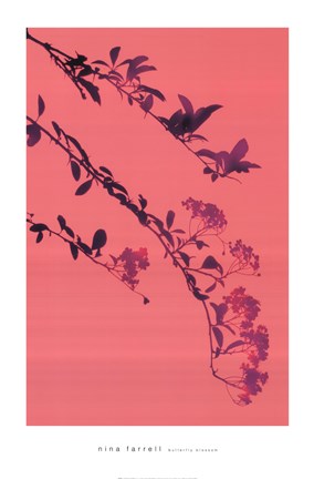 Framed Butterfly Blossom Print