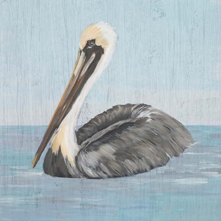 Framed Pelican Wash I Print