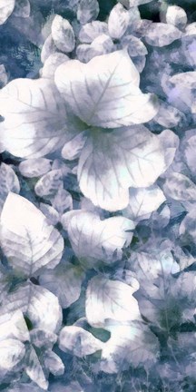 Framed Blue Shaded Leaves V Print