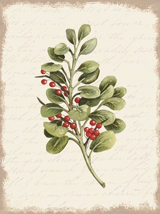 Framed Berries Christmas Botanical Print