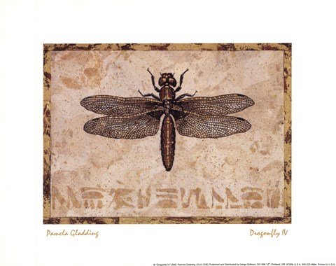 Framed Dragonfly IV Print
