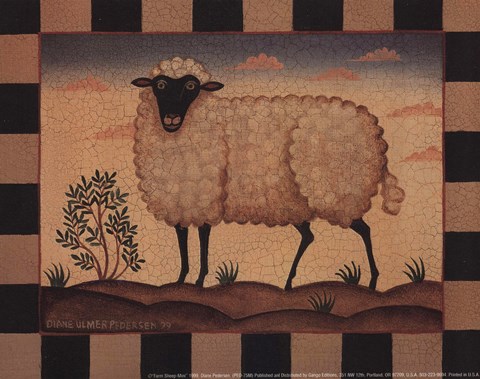 Framed Farm Sheep Print