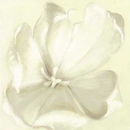 Framed White Flower 2 Print