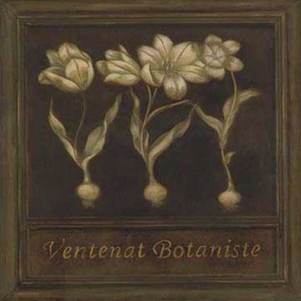Framed Black Square Botany 1 Print